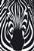 Zebra Products